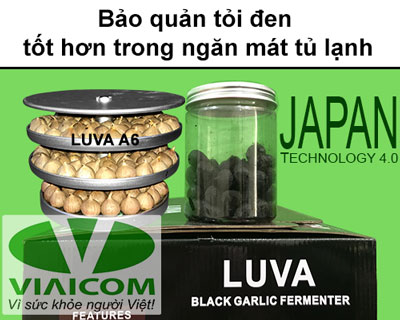 Cách sử dụng máy làm tỏi đen LUVA A6