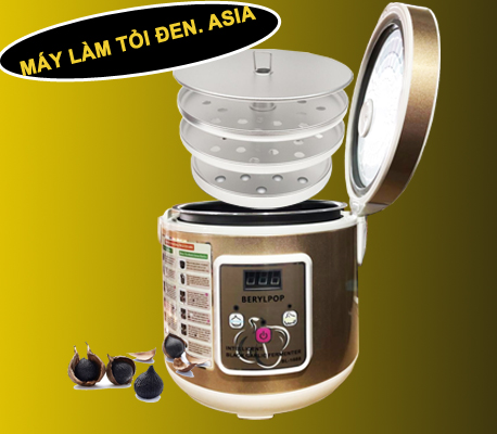 Top 10 máy làm tỏi đen tốt nhất Top 10 máy làm tỏi đen tốt nhất